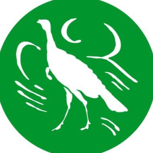 Boost Mint listing icon
