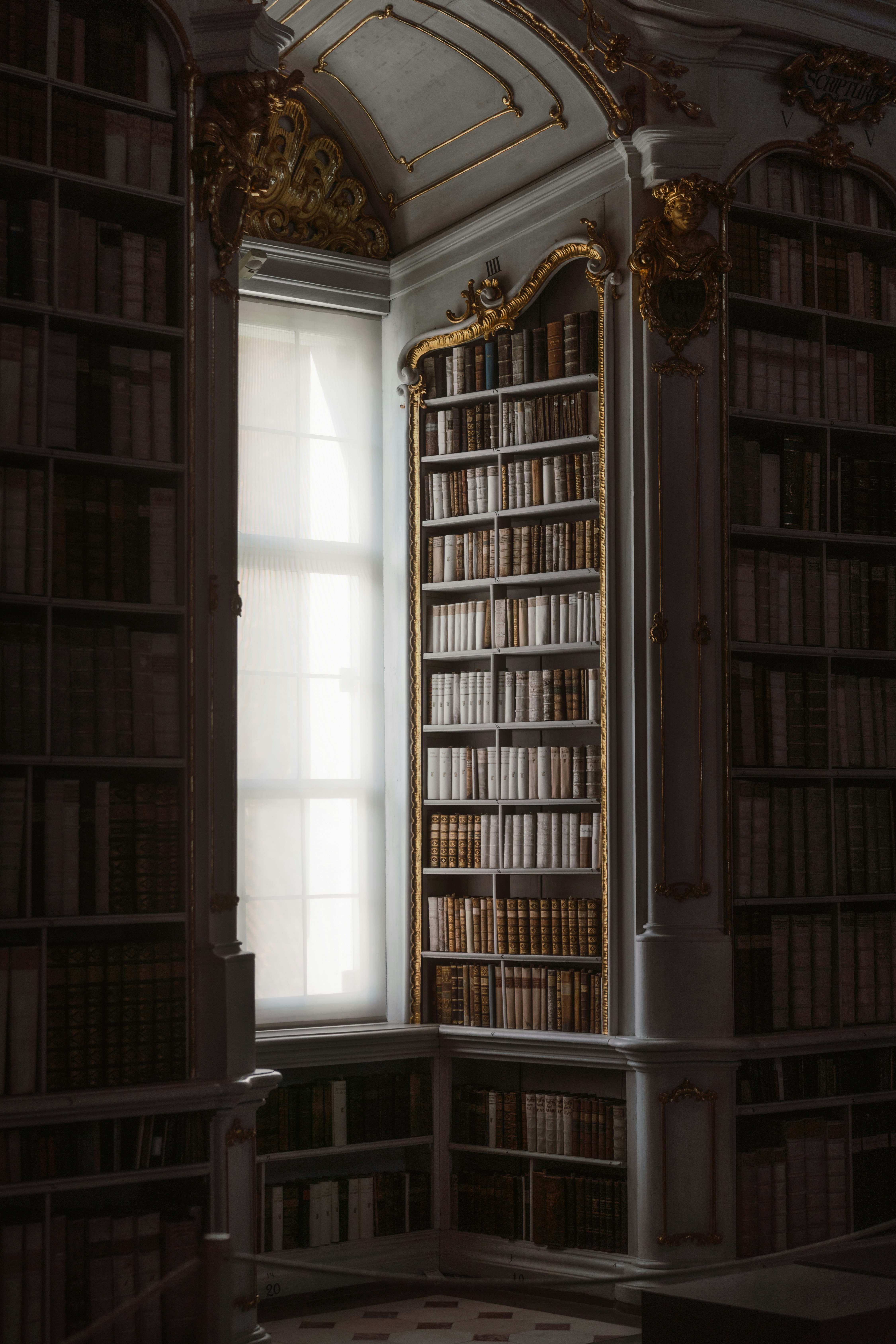 An ornate library with tall bookshelves and a large window
