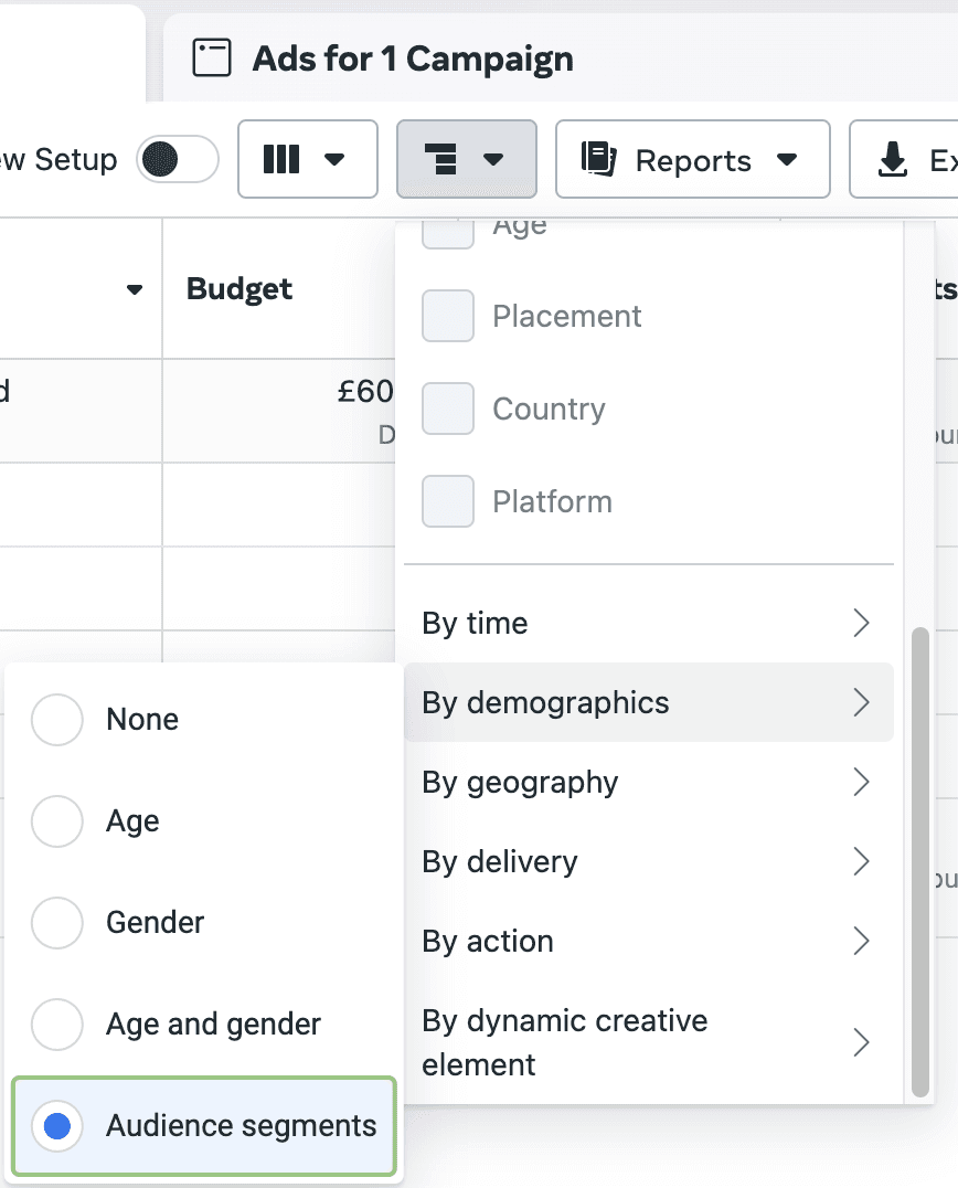 Filtering by Audience segments in Meta Ads Manager