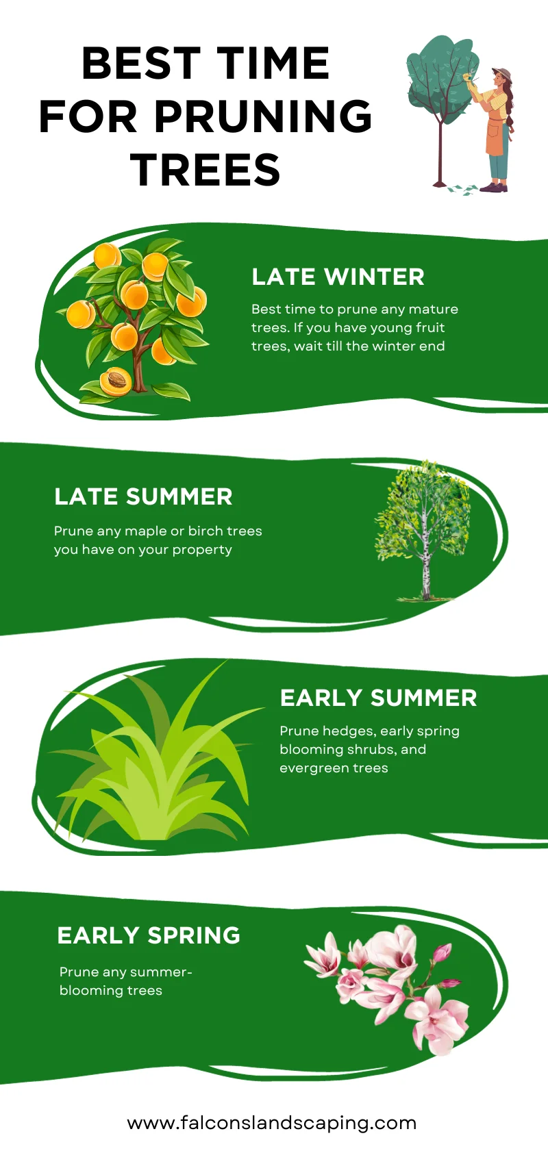 The Best Time For Pruning