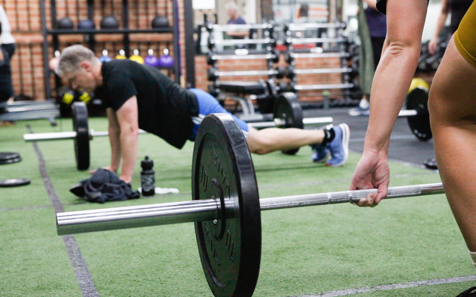 Path winding through a field of pink flowers
