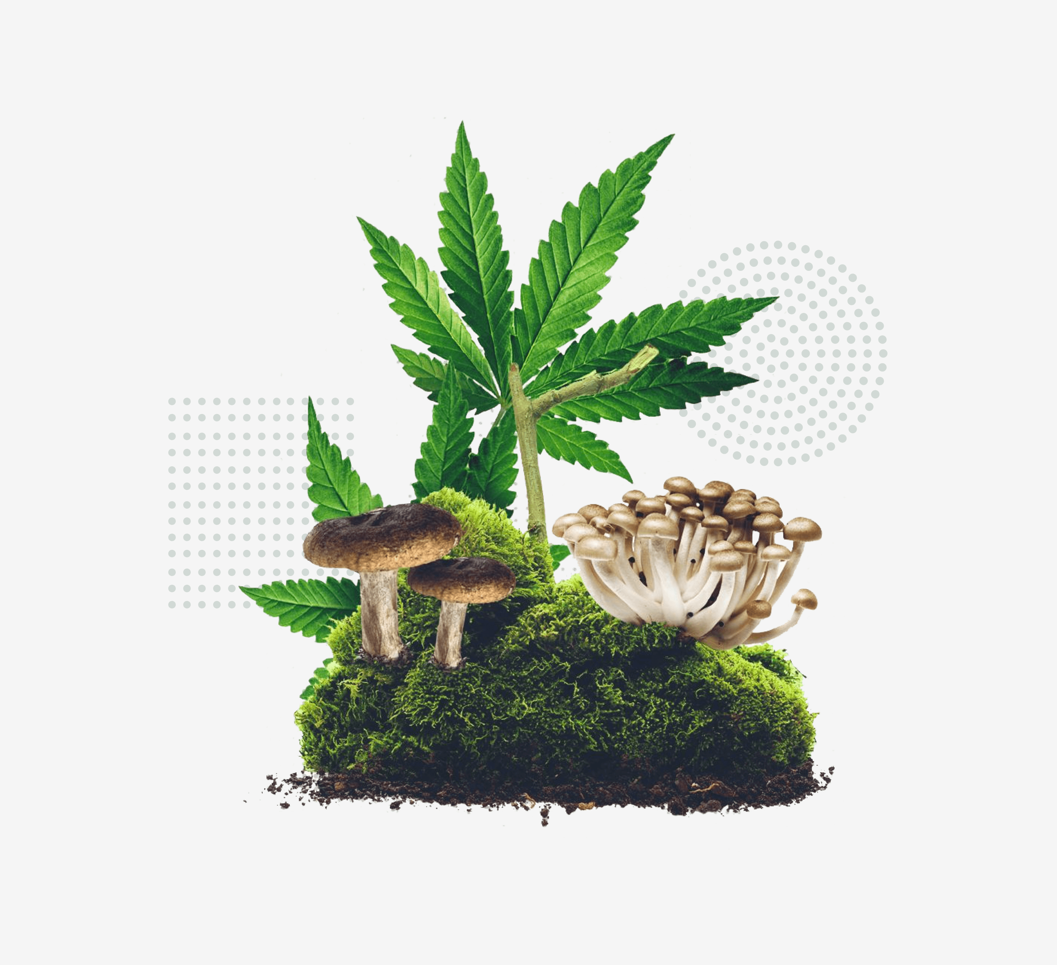 two cell phones on a gray surface