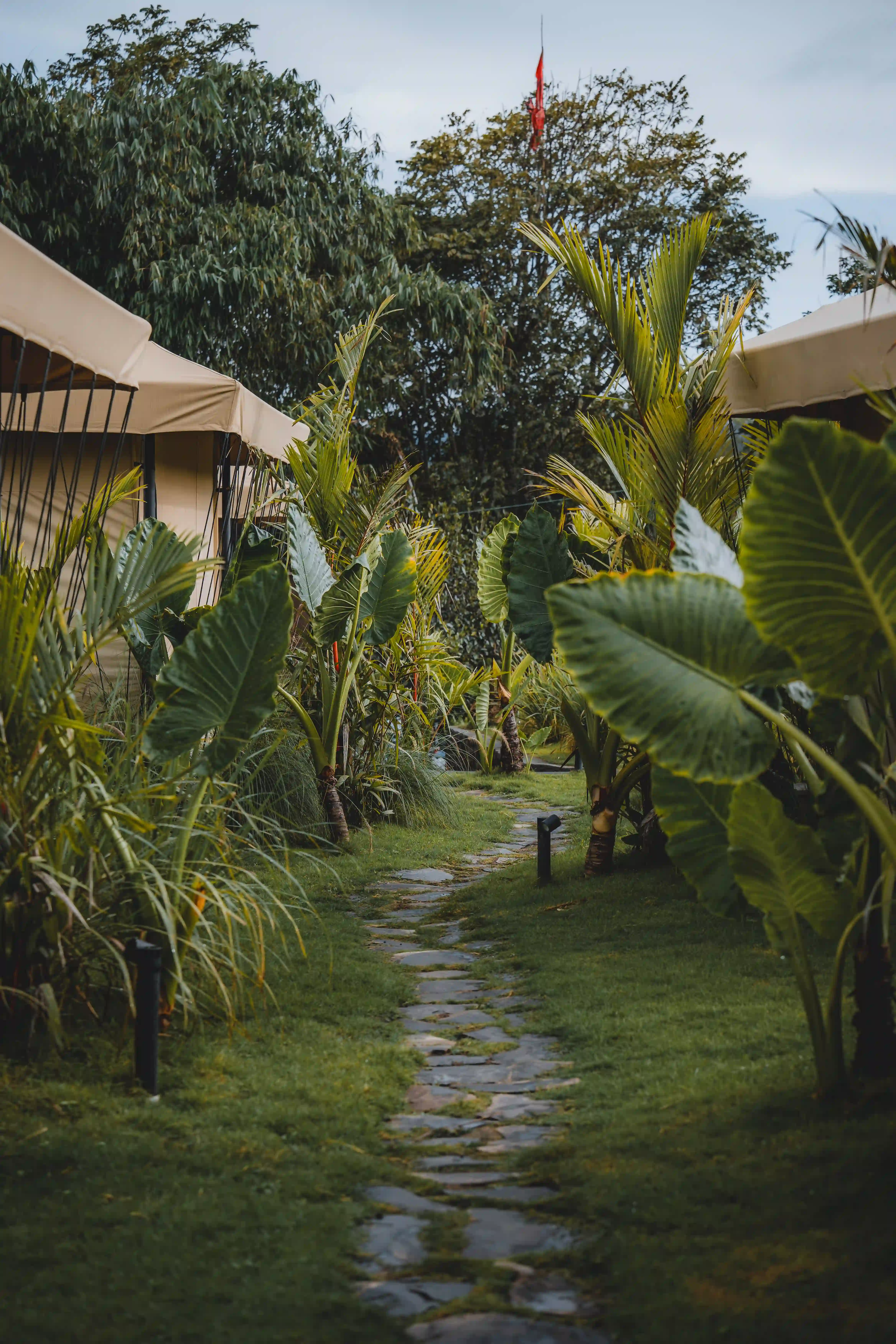 Toteme Glamping Kintamani