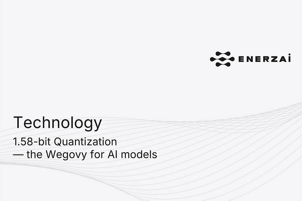 
AI 모델 양자화는 모델의 용량과 메모리 사용량은 줄이고, 정밀도는 최대한 유지하는 기술이다 / 출처=에너자이
