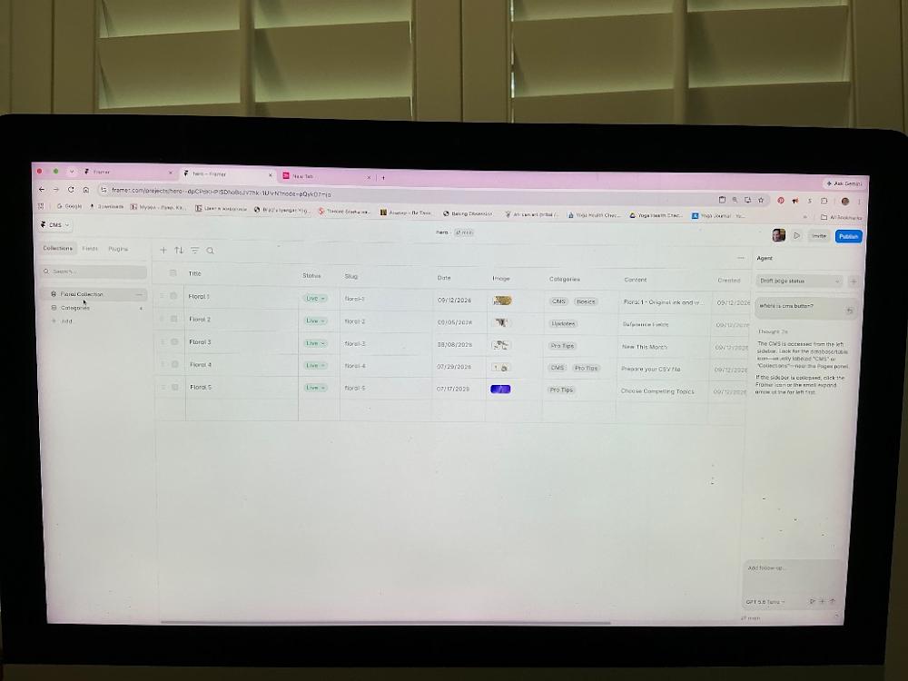Visually searched image