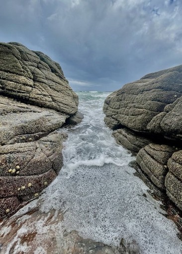 Fashion portrait photography