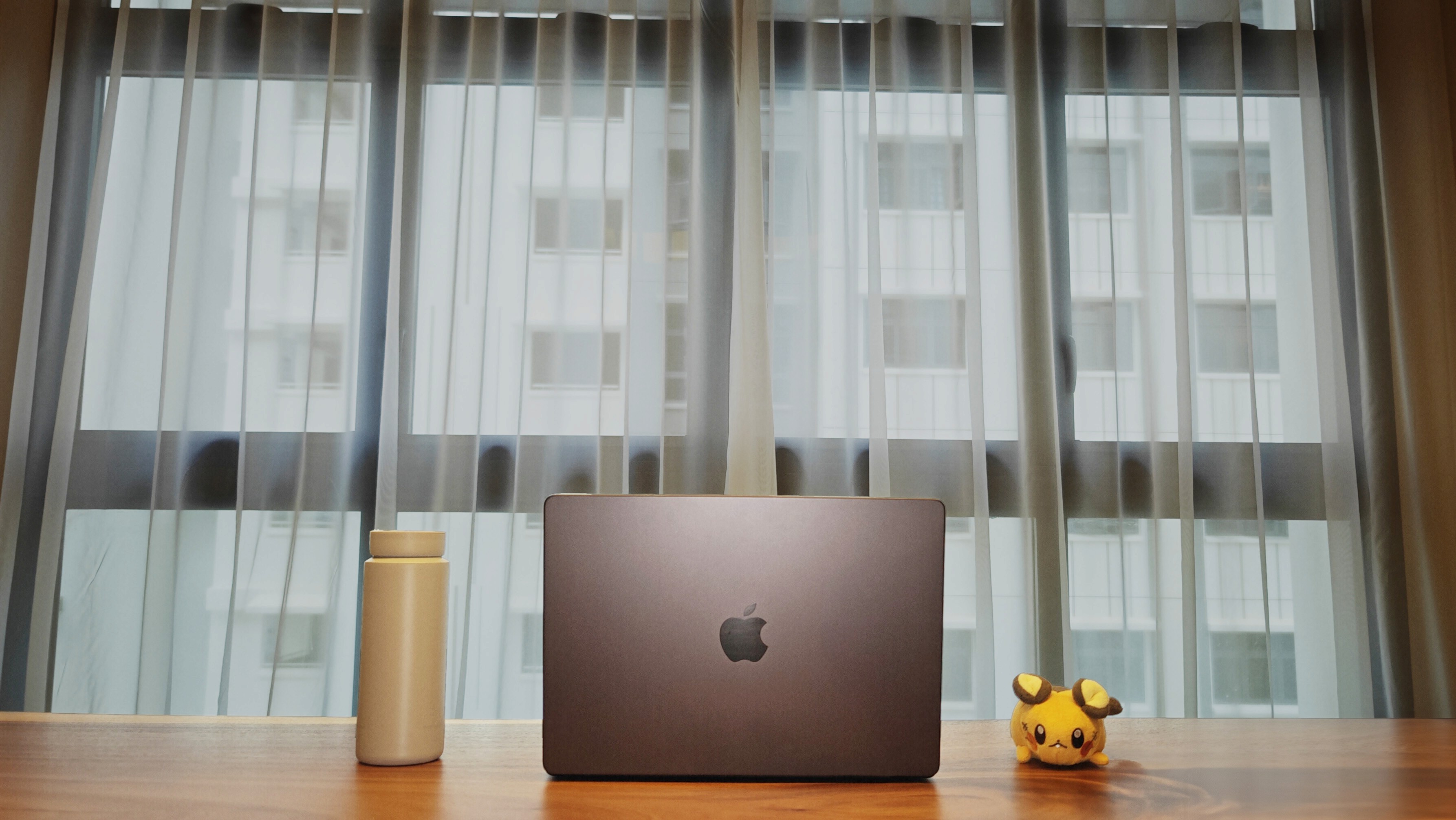 Not-Ai-Generated, this is my home. (And that's Dedenne on the right)