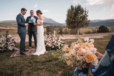 Andy and Amber Carbondale wedding photograph 47