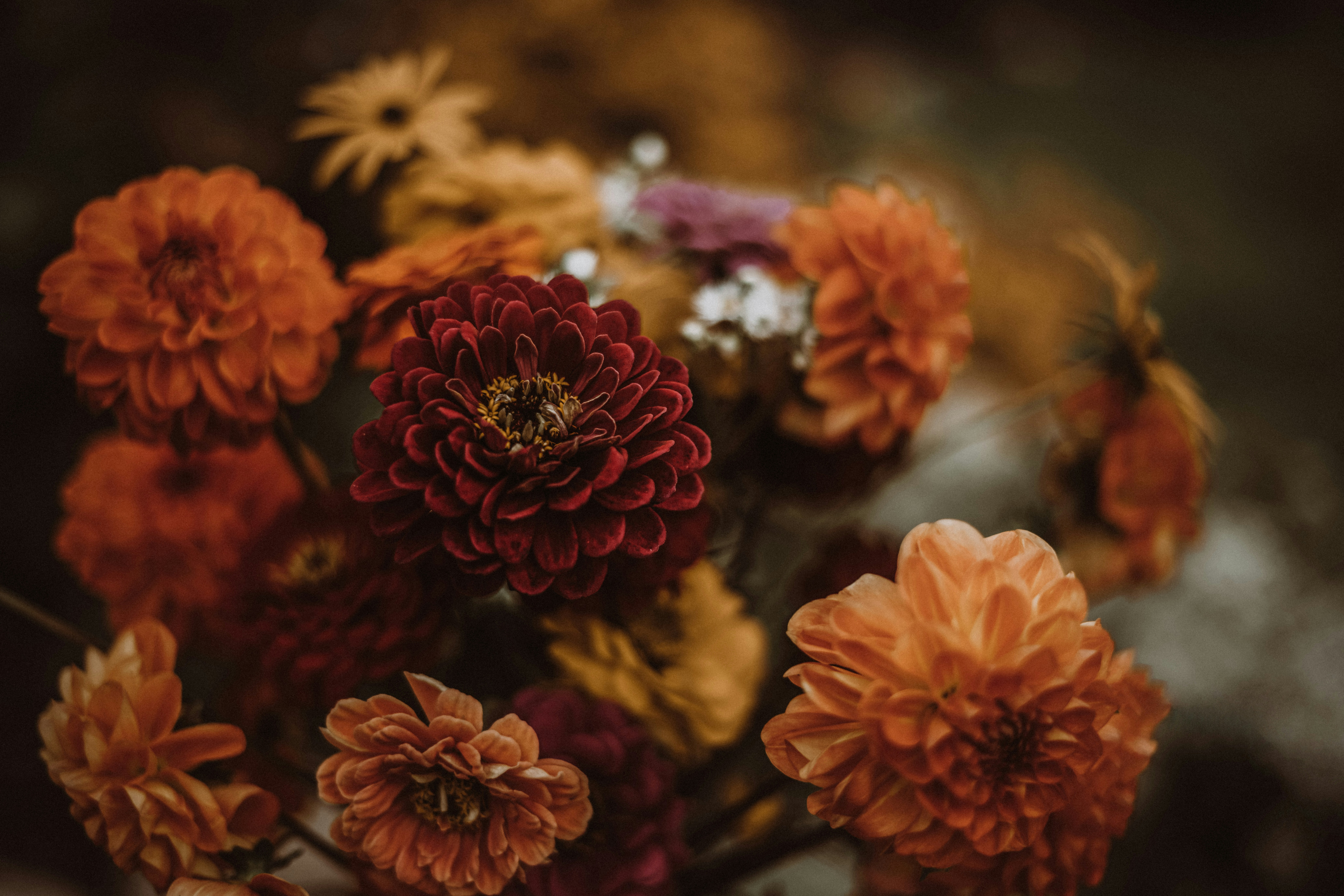 Close-up of a bouquet of vibrant orange and red flowers.