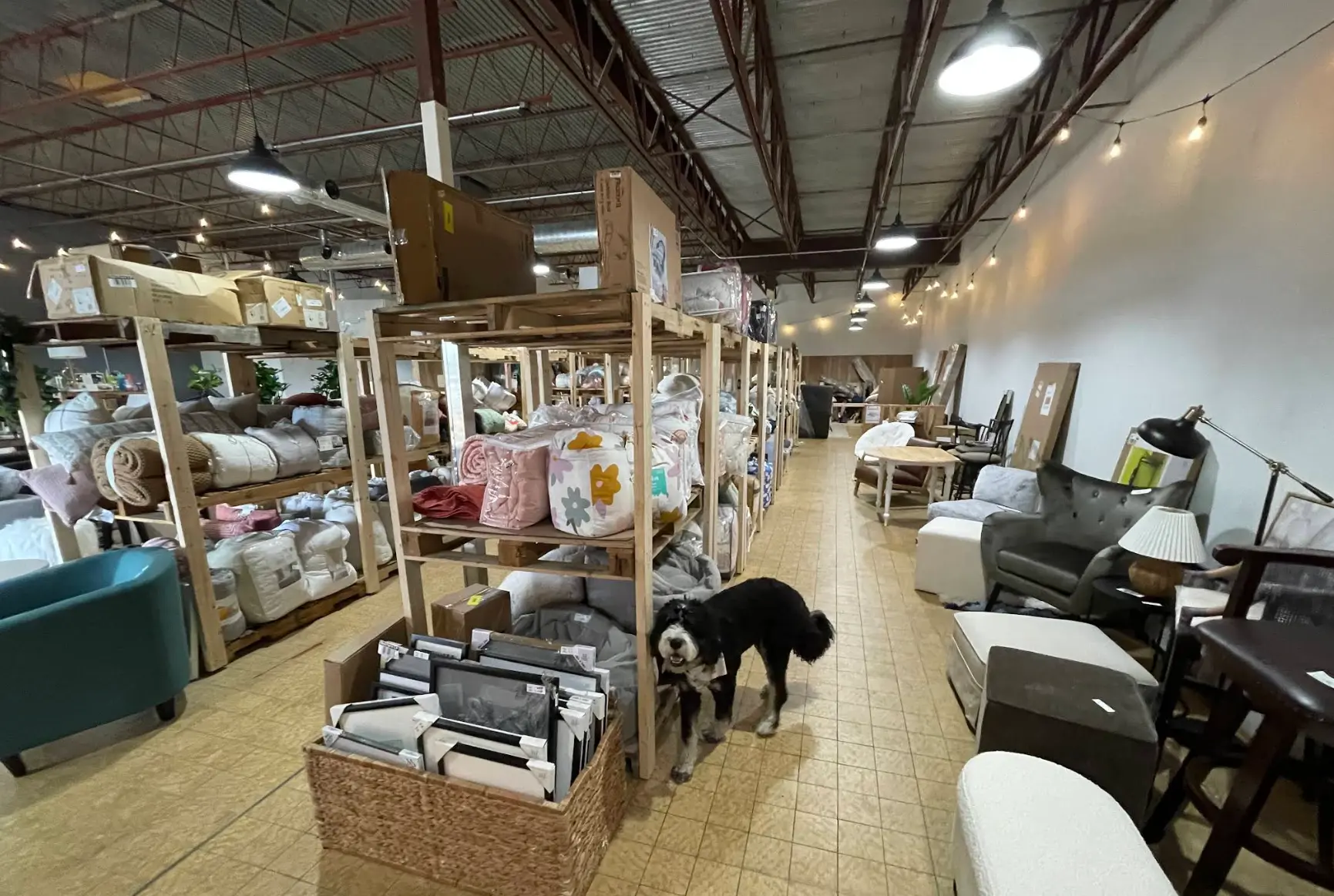 Warehouse-style home goods store aisle with shelves of decor, furniture, and a dog walking through the space.