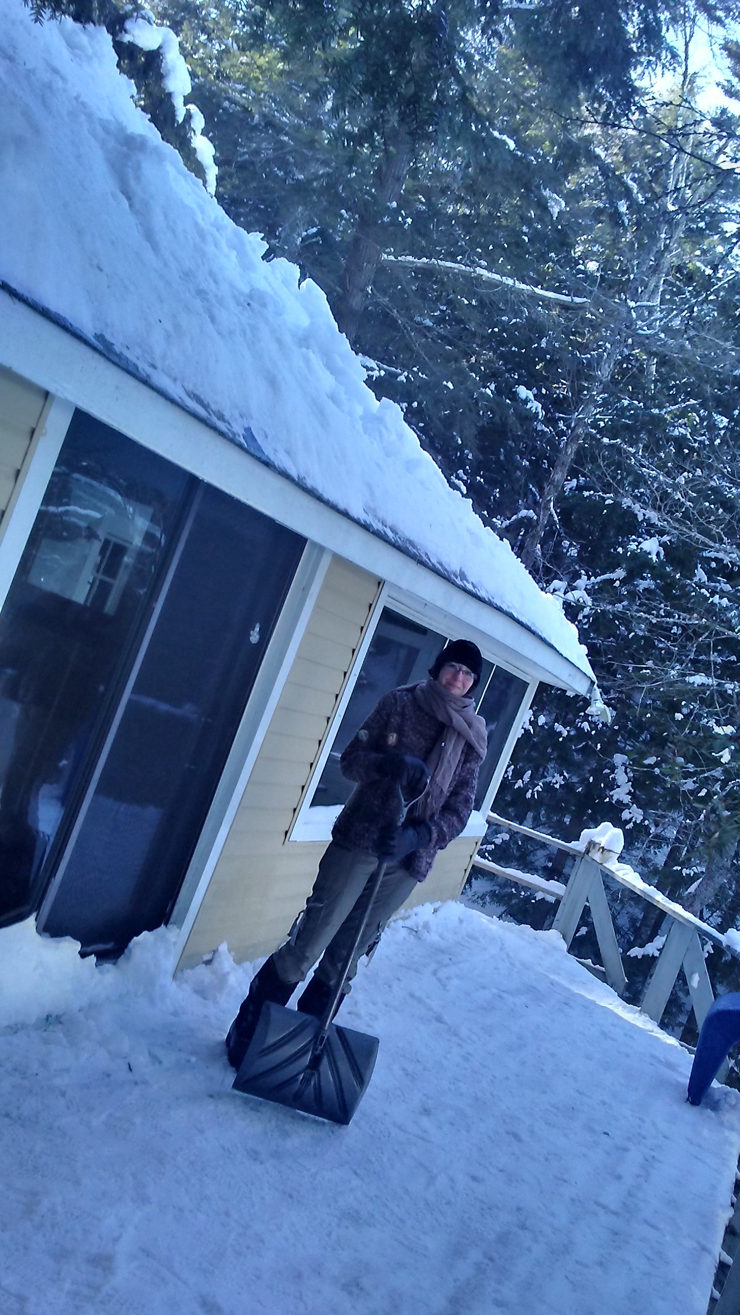 Person shovelling snow beside a cottage entrance in winter