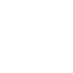 Logo Seagate