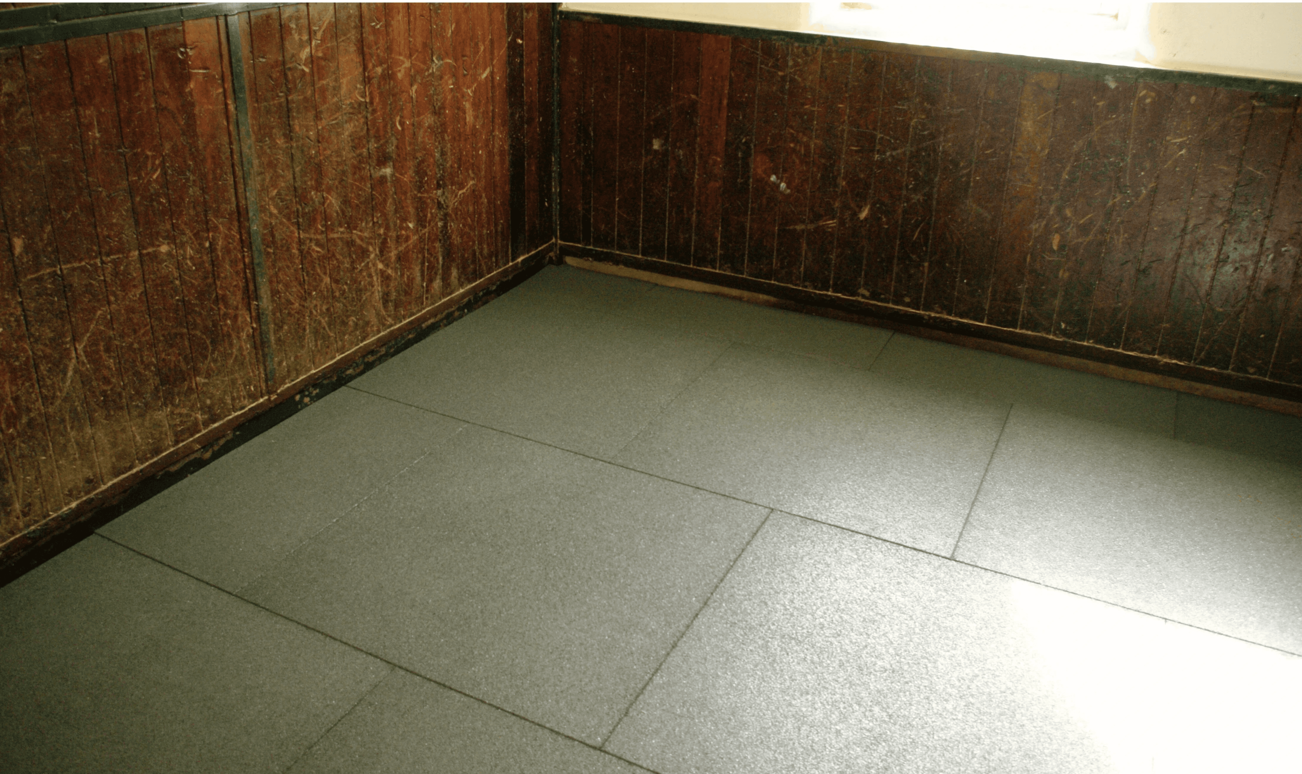 hest står på softdek gulv