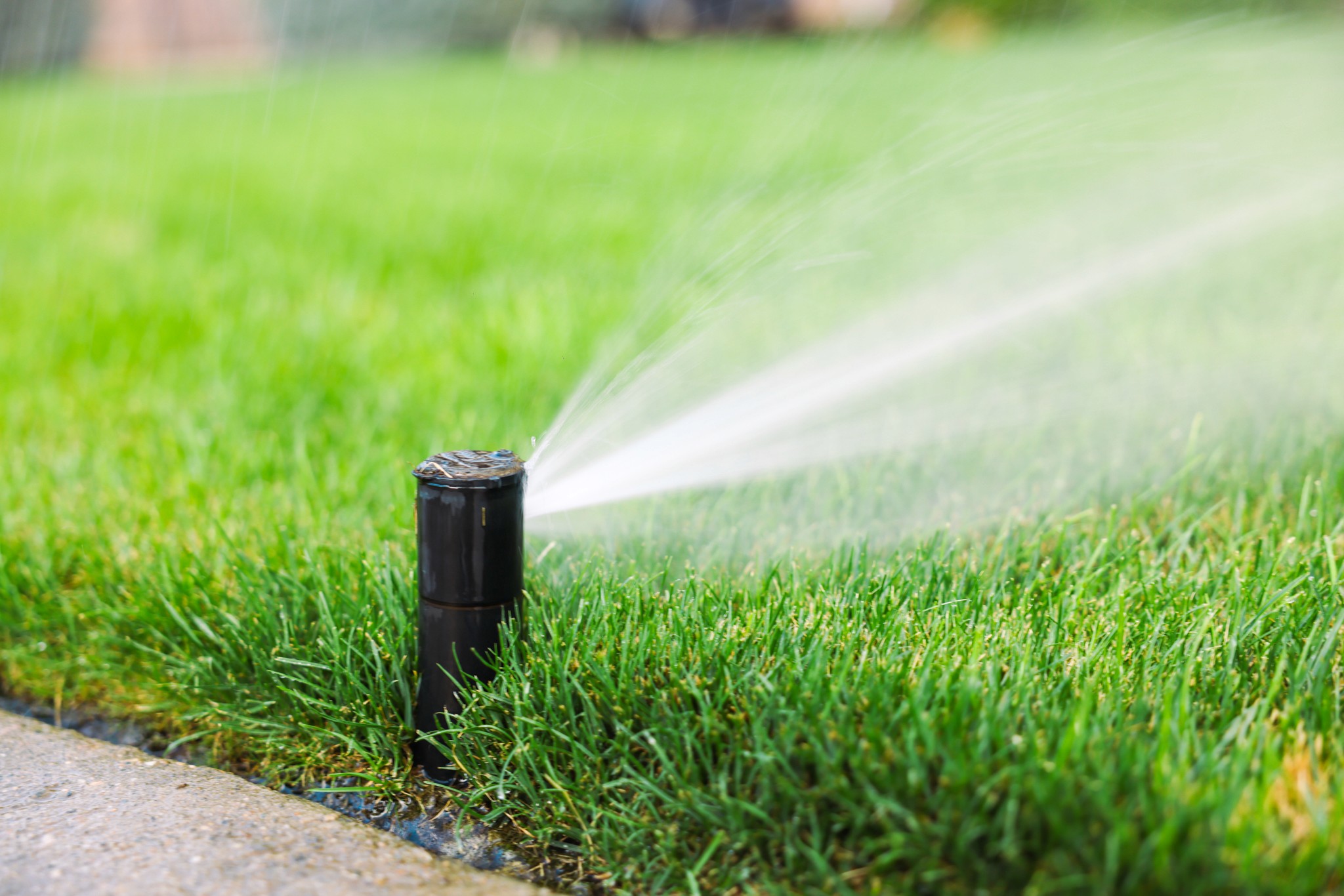 Professional sprinkler installation in Northern Utah
