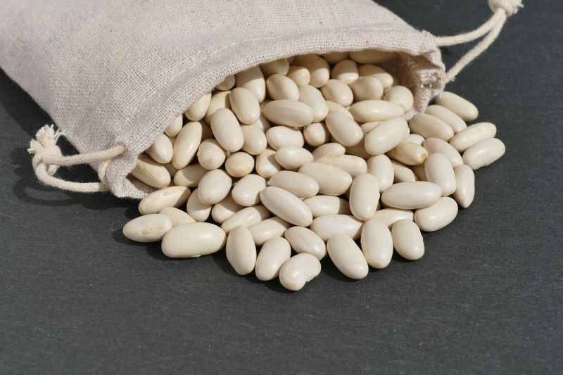 Fagioli bianchi