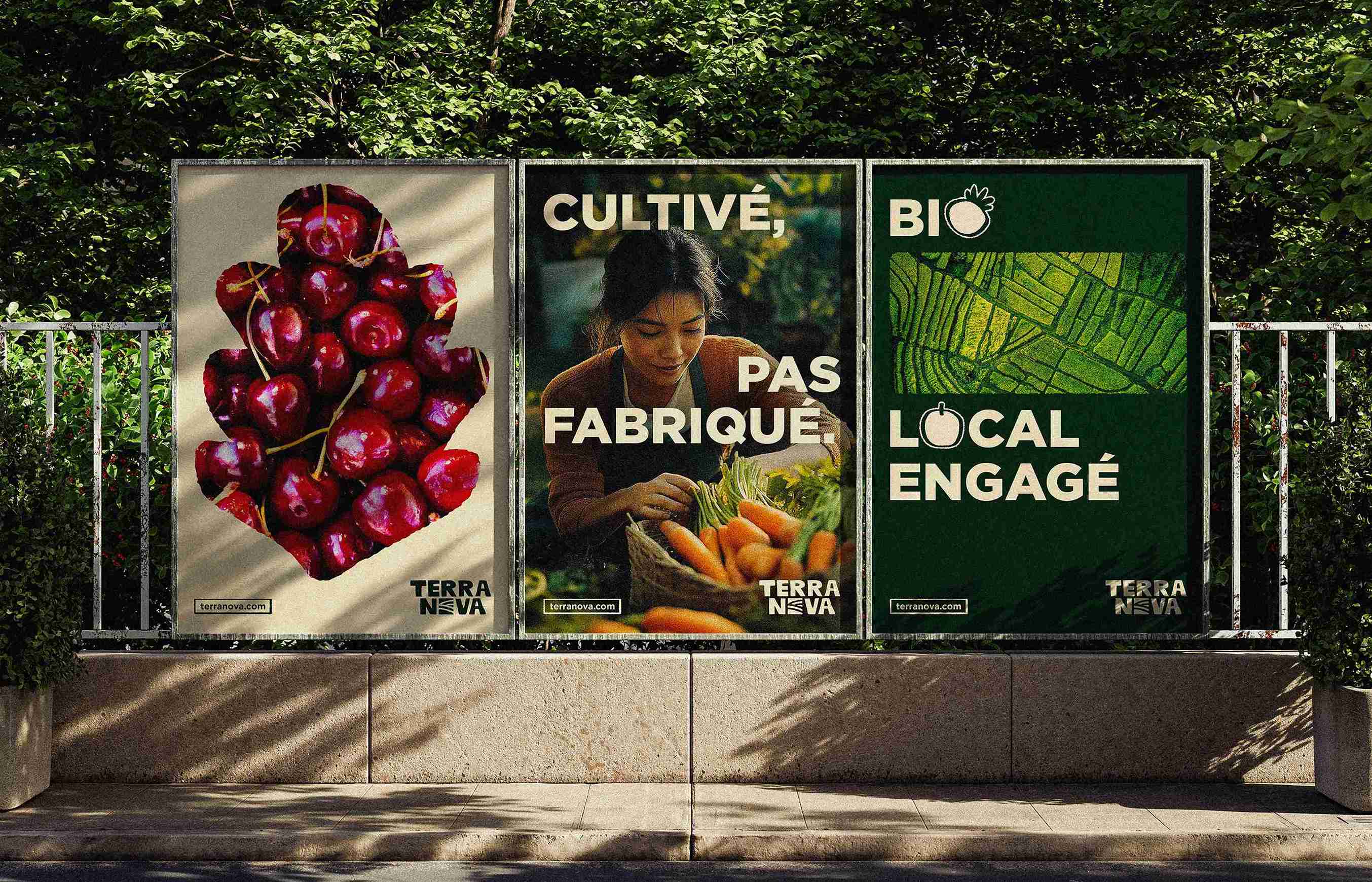 terranova-visuel-affiches-verticales
