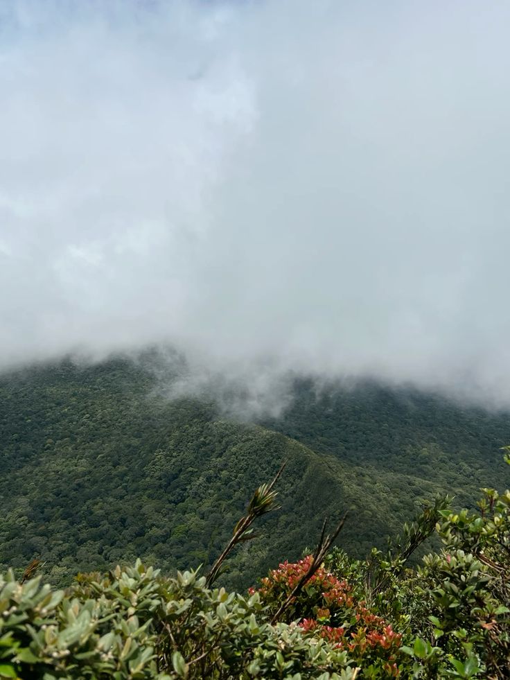 a group of women standing on top of a sandy beach