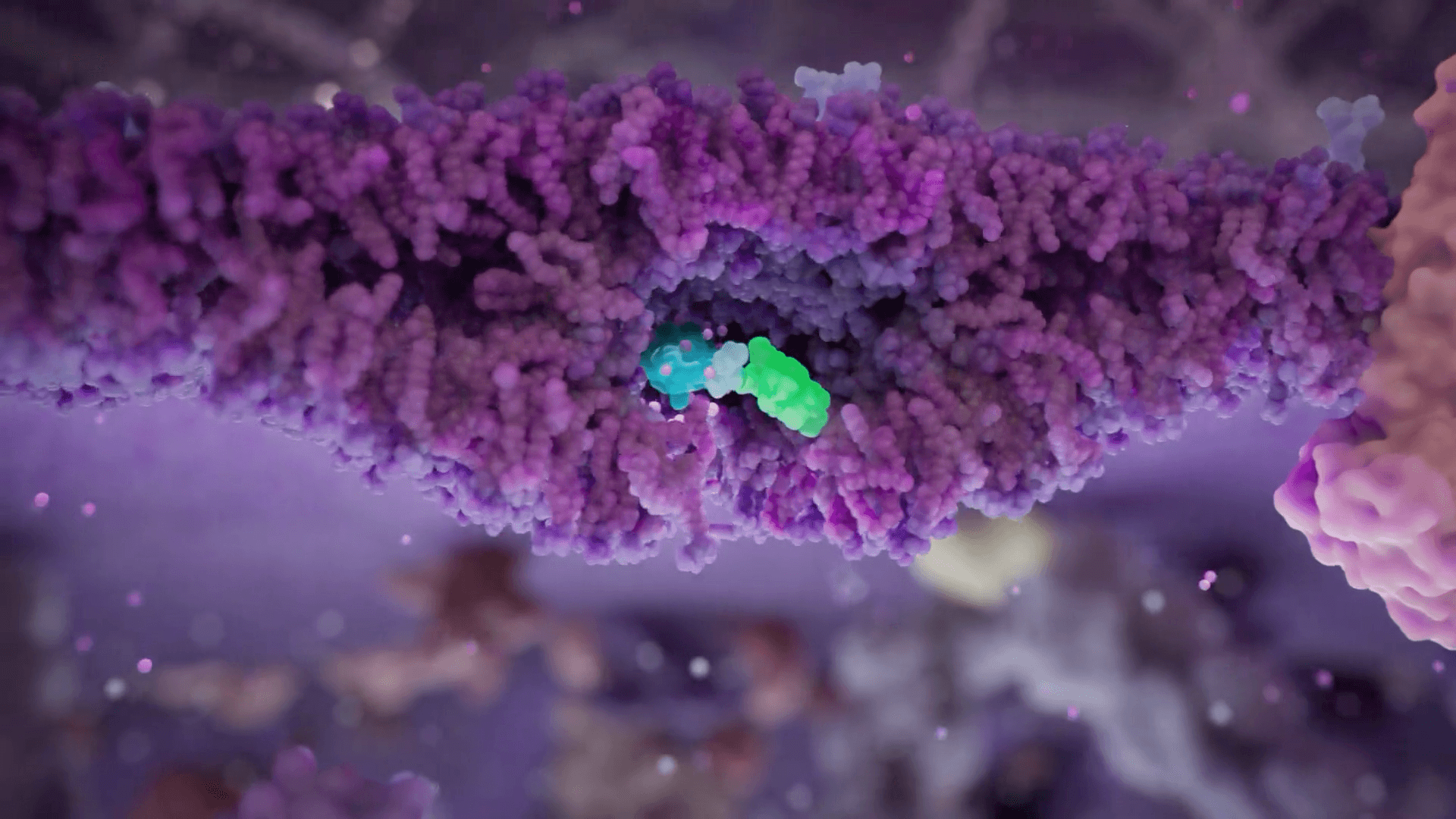 Visualization of the human body with organs and tumor sites visible inside