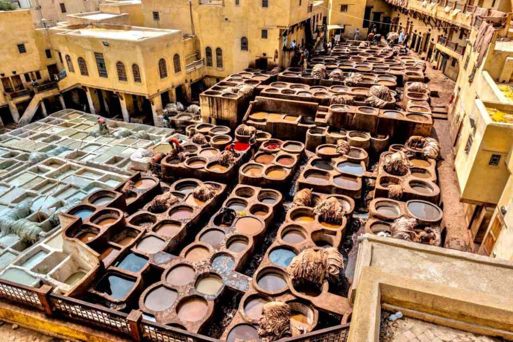 leather tanneries in fez