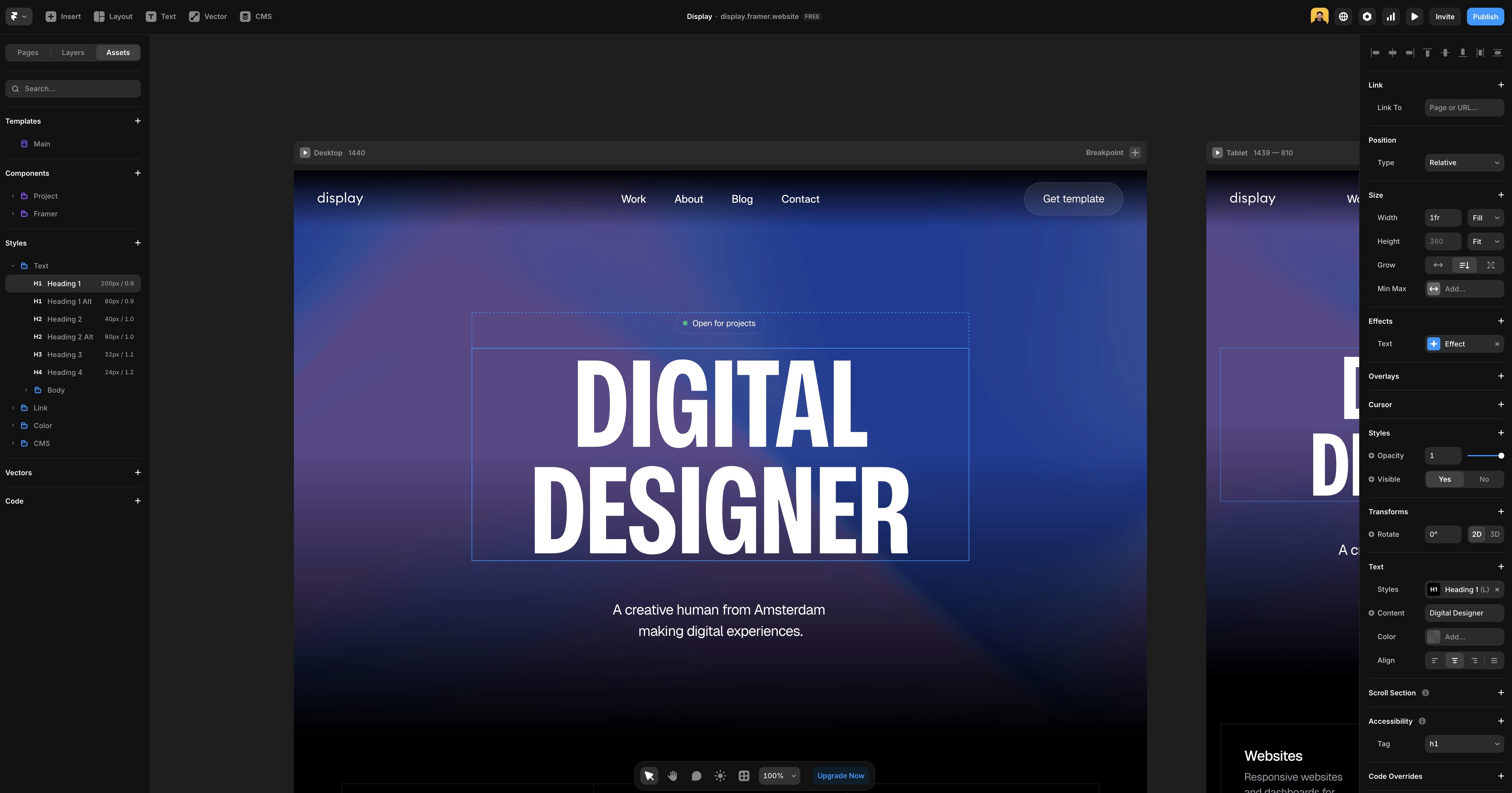 Framer Canvas Assets Panel