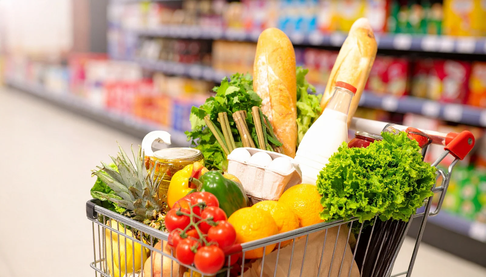 Základní potraviny pro zdravý a levný jídelníček