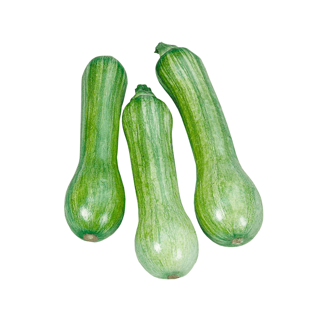 abobrinha-menina-brasileira