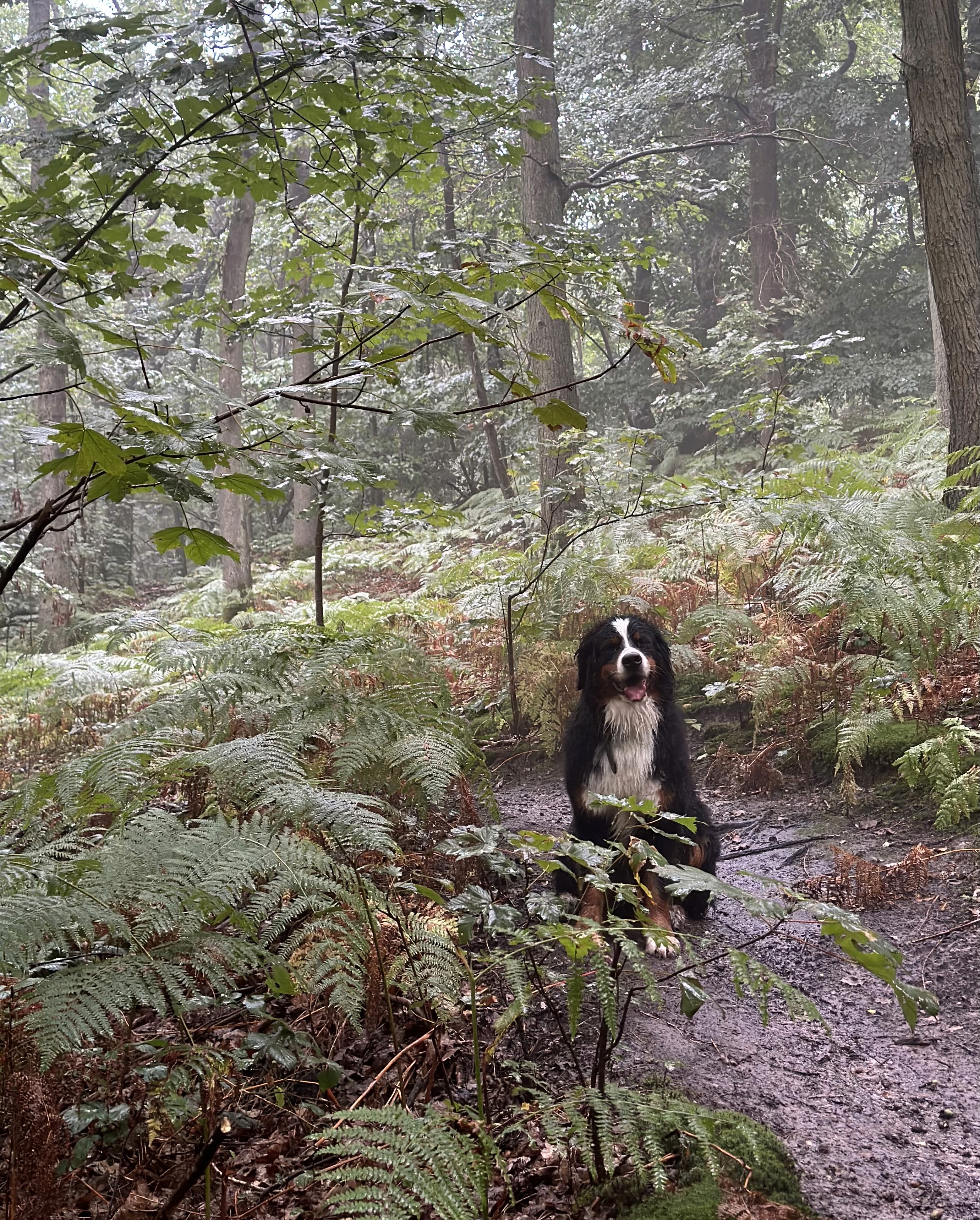 Una&Co Photo Balade éducative