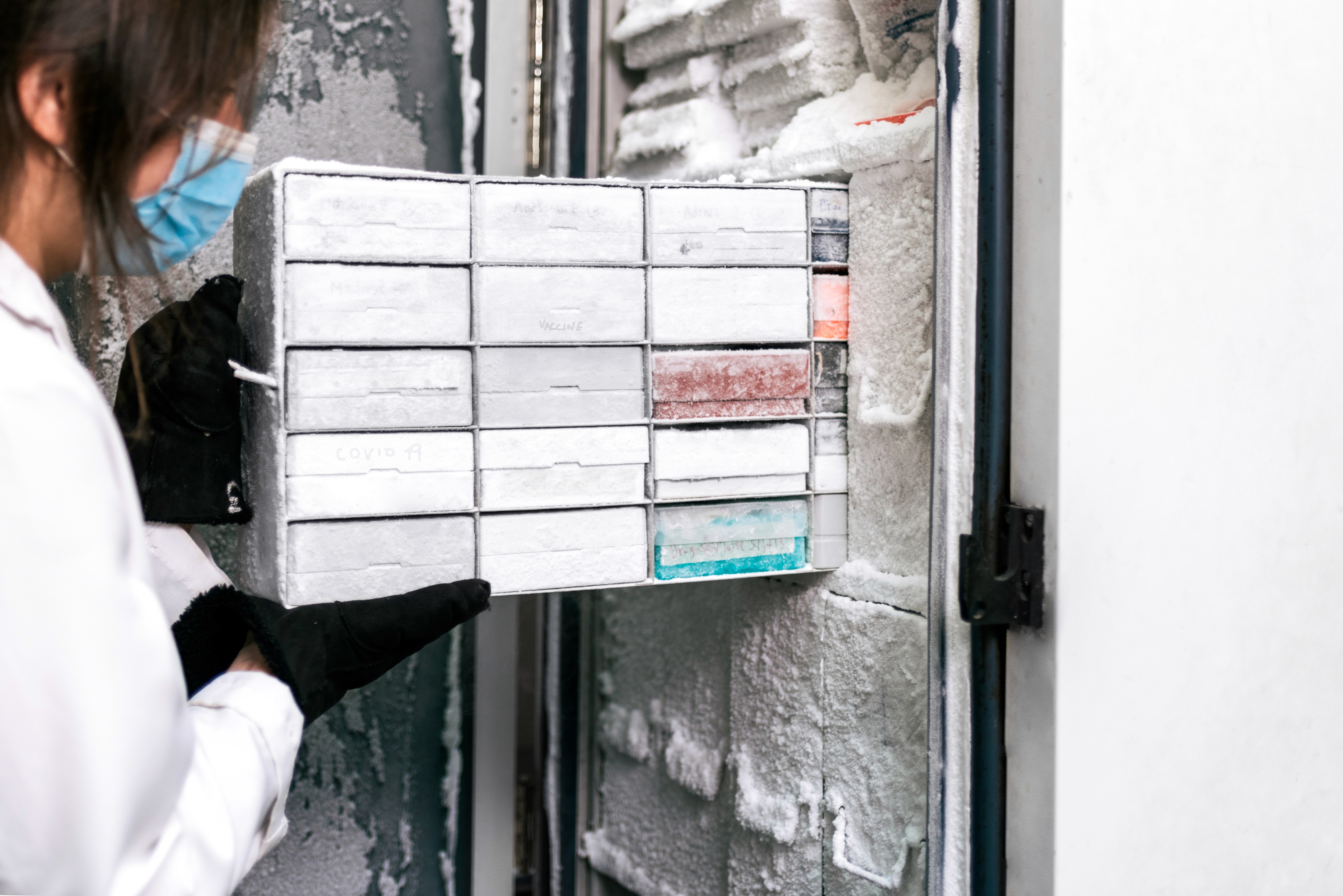 scientist saving vaccines in freezer