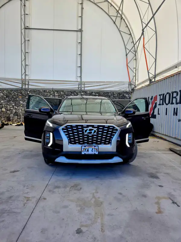 Plum 8 Seater Hyundai Palisade for rent in Kona Big Island Hawaii