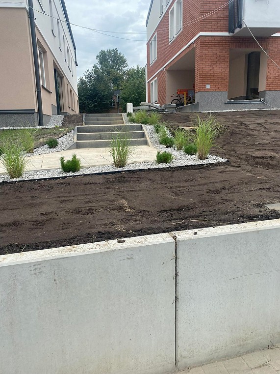 Nasadzenia przy chodniku