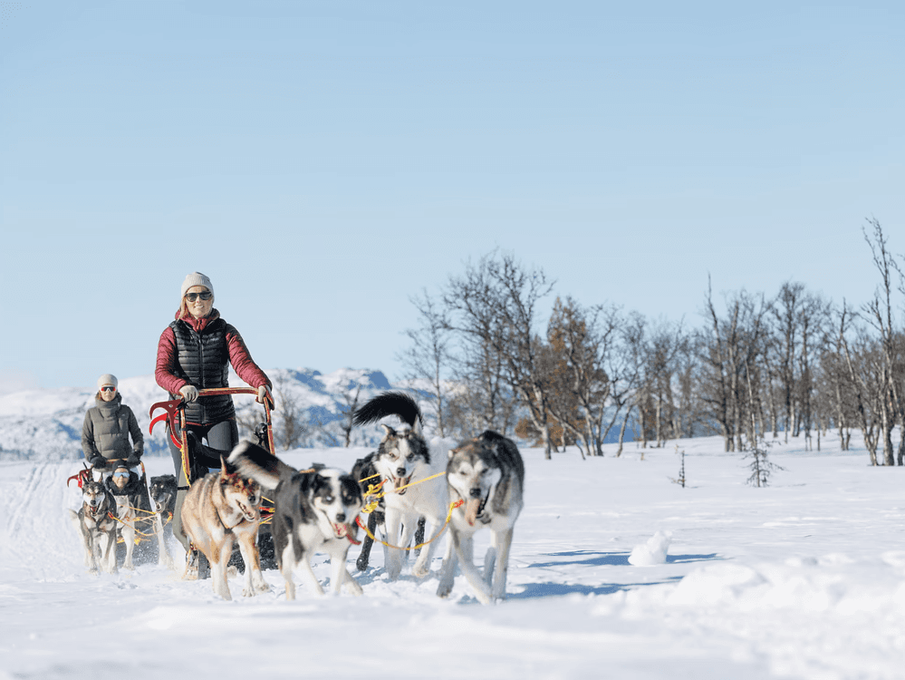 Huskies pulling a sled through the snow