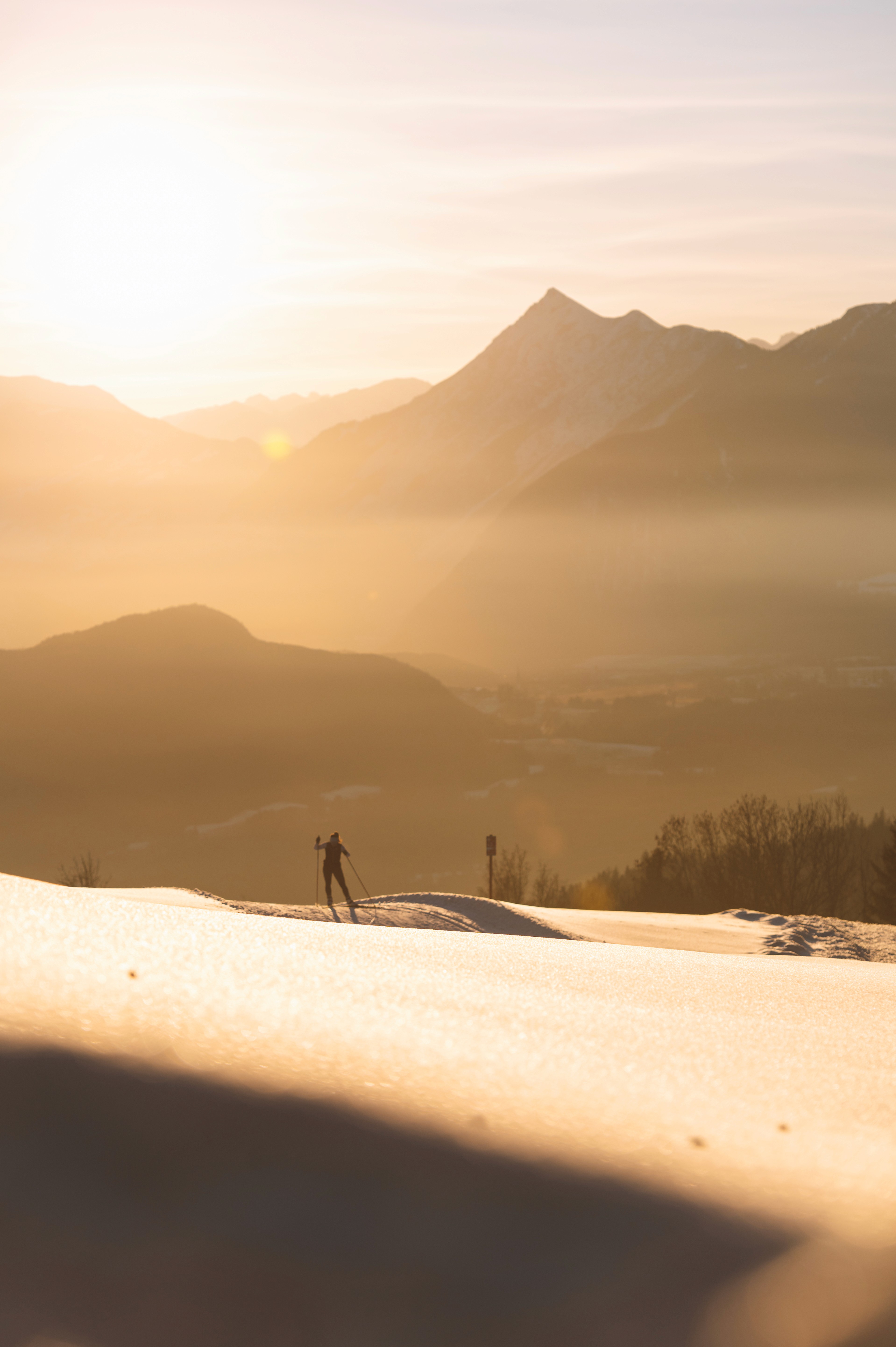 man's hand pouring red wine into a glass