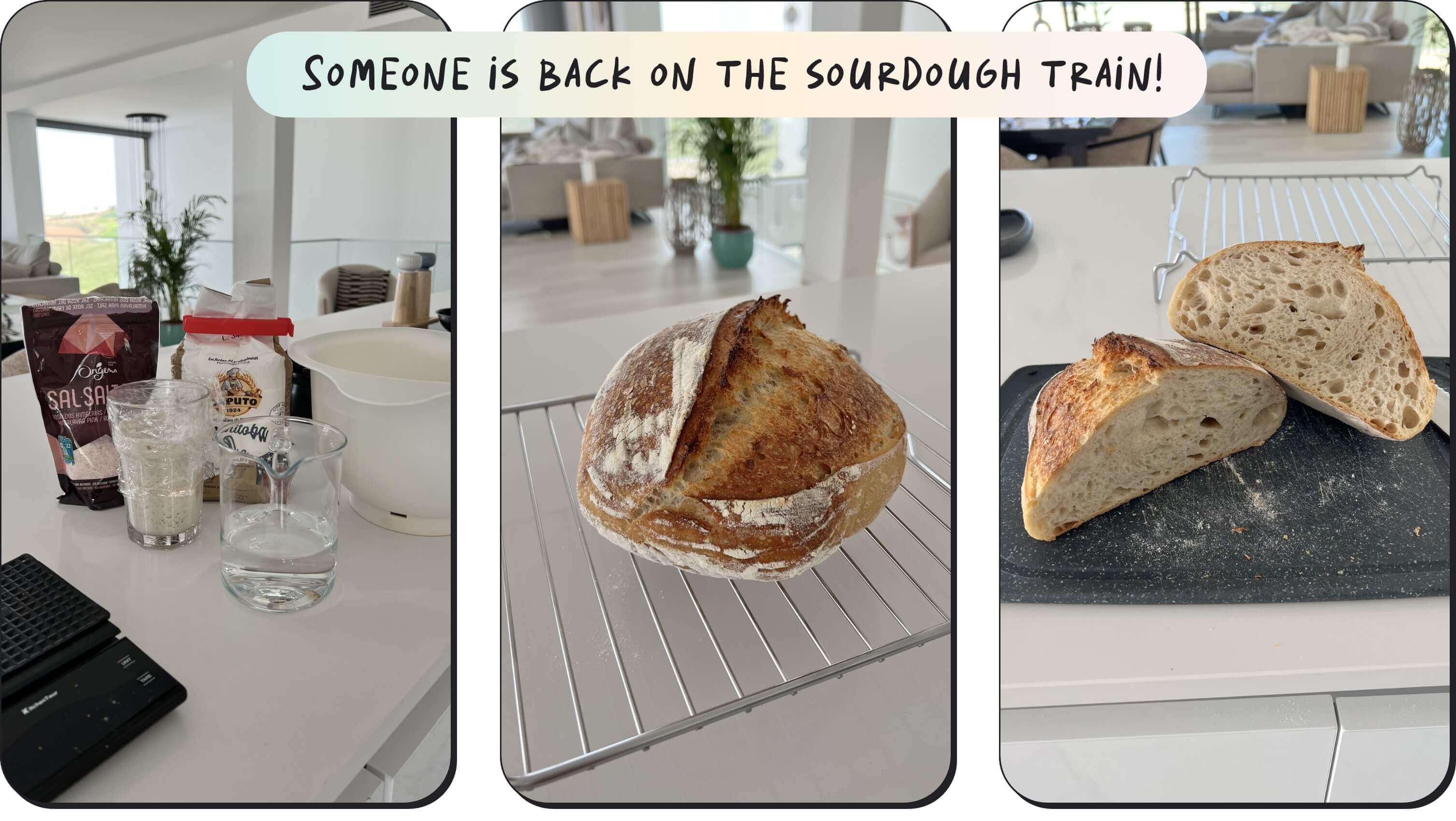 Jason's sourdough baking journey