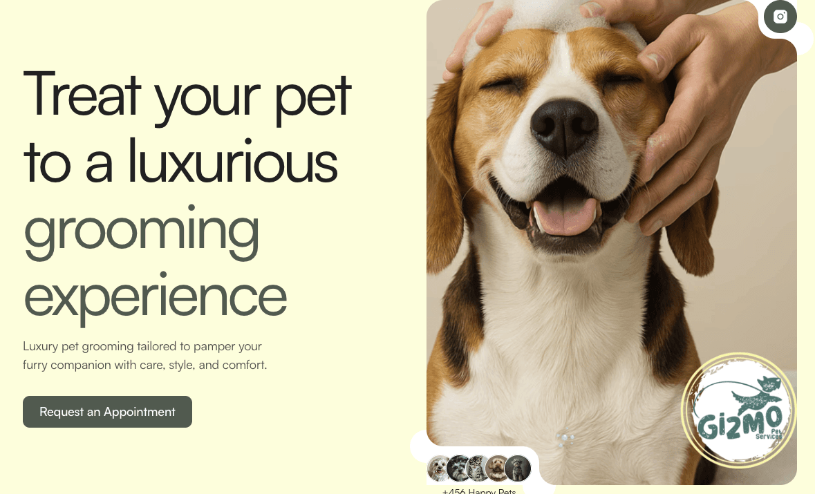 Gizmo Pet Services - Pet Services in Fort Worth