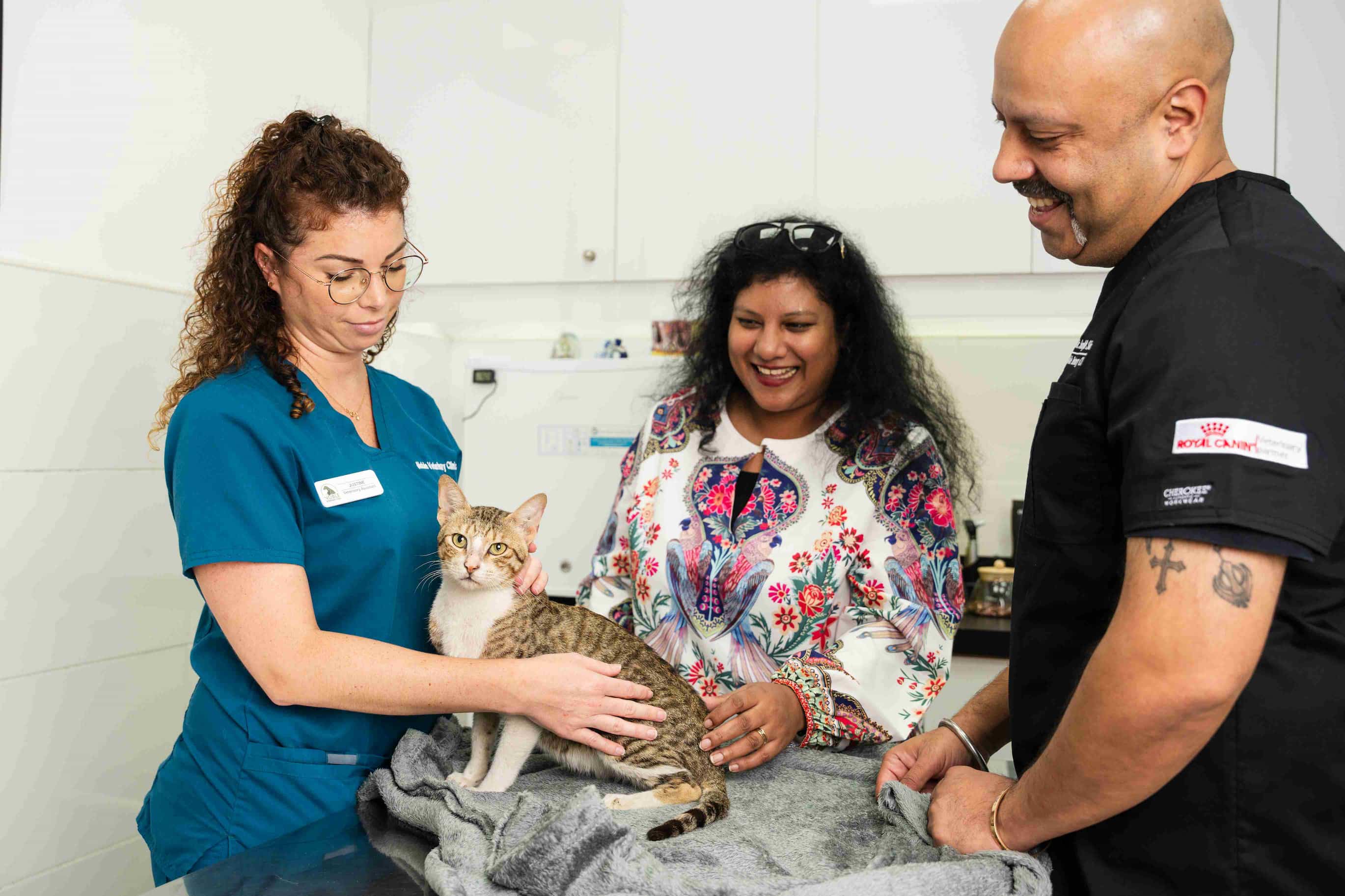A veterinarian is holding a cat gently to keep it calm. Another vet is nearby while the pet owner is watching. 