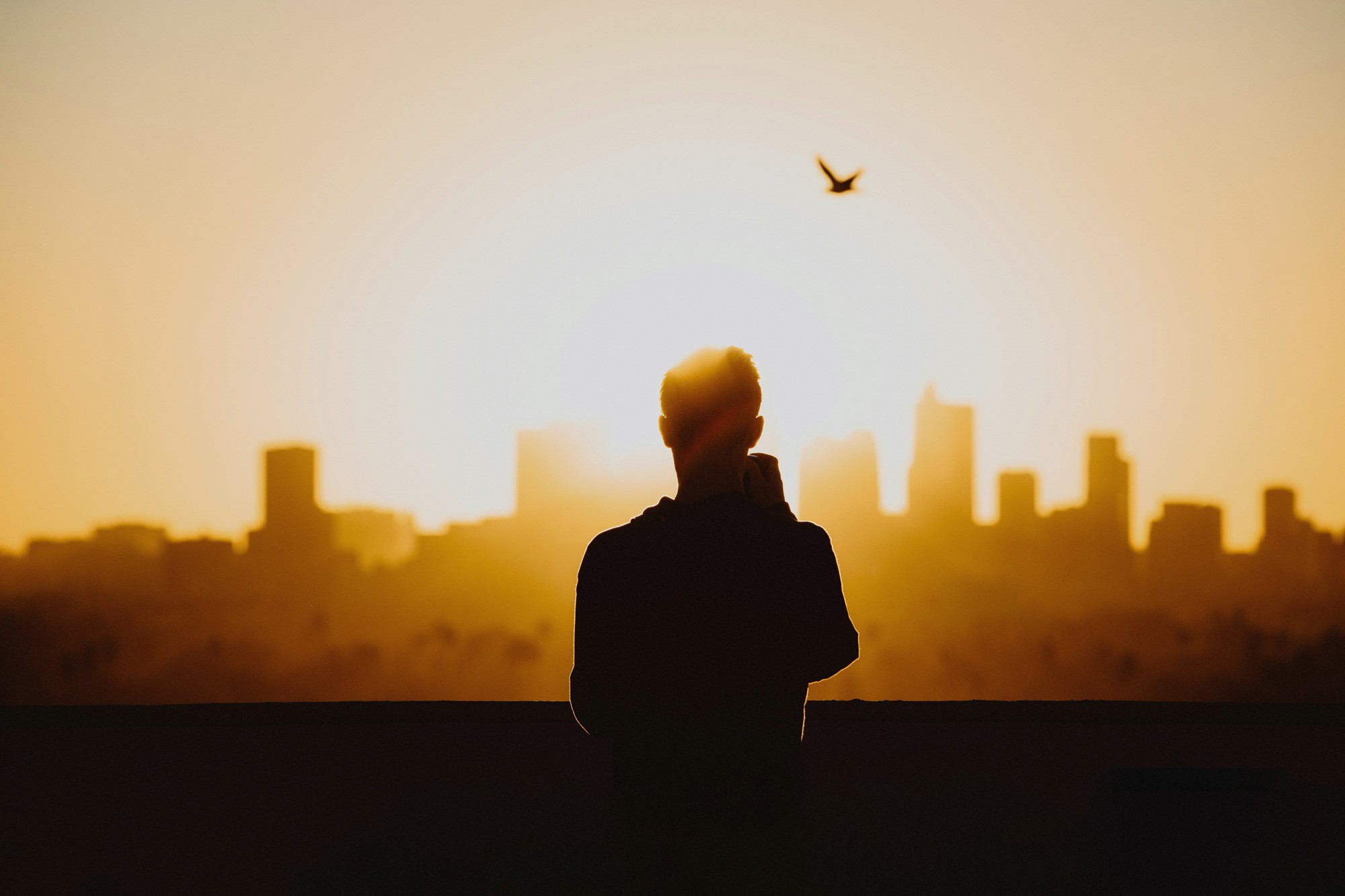 A person looking toward the horizon in soft natural light.