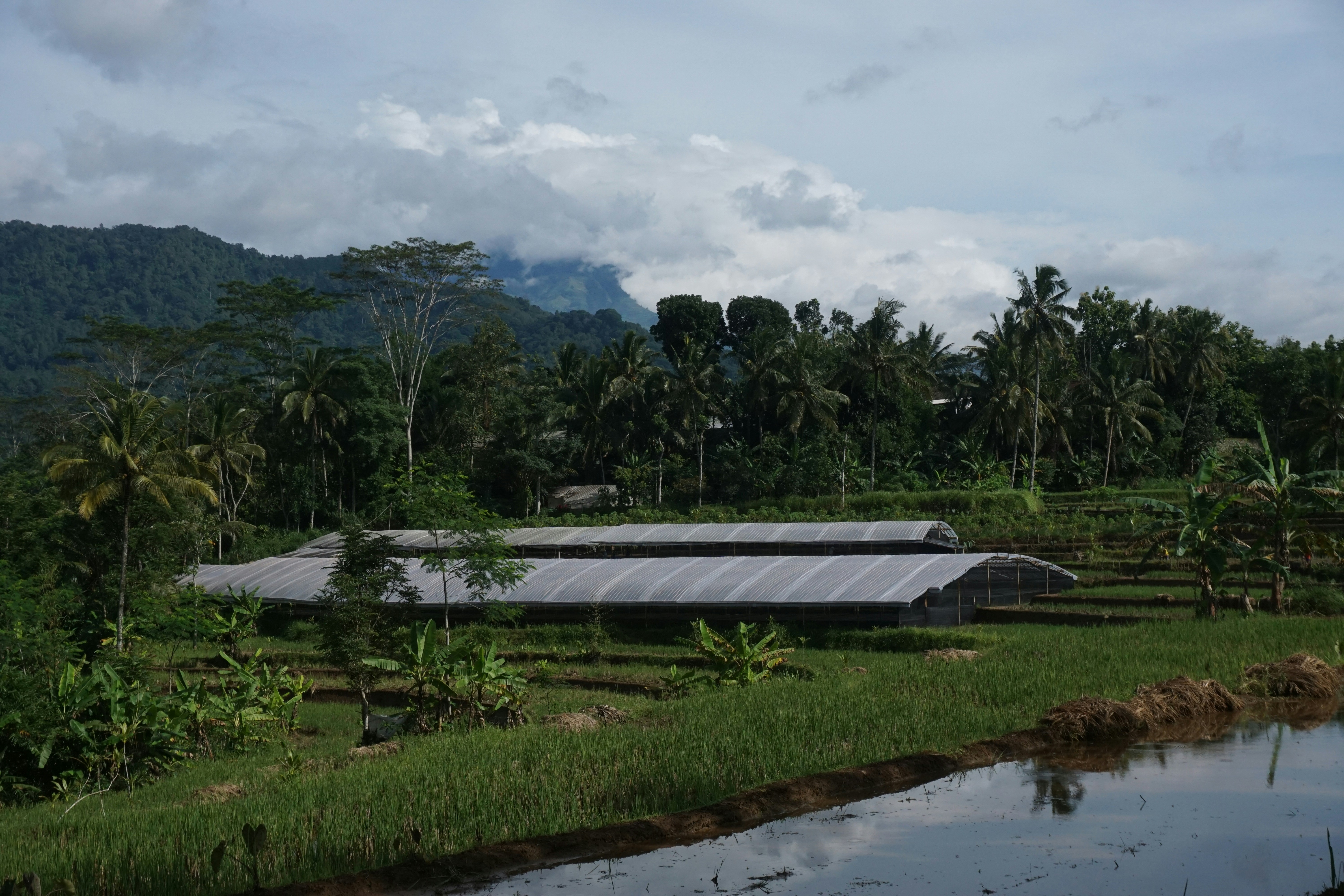 A large body of water sitting next to a lush green hillside