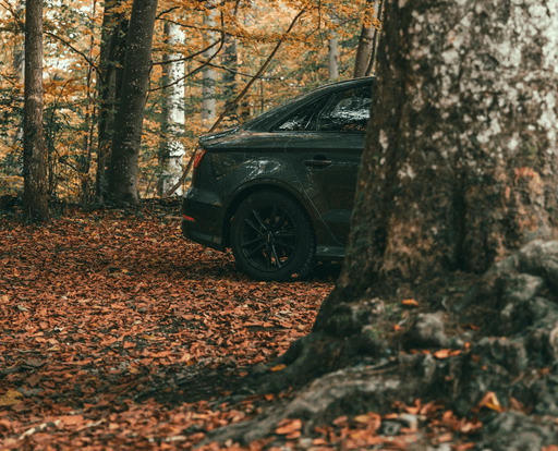 a car parked on pavement near a forest