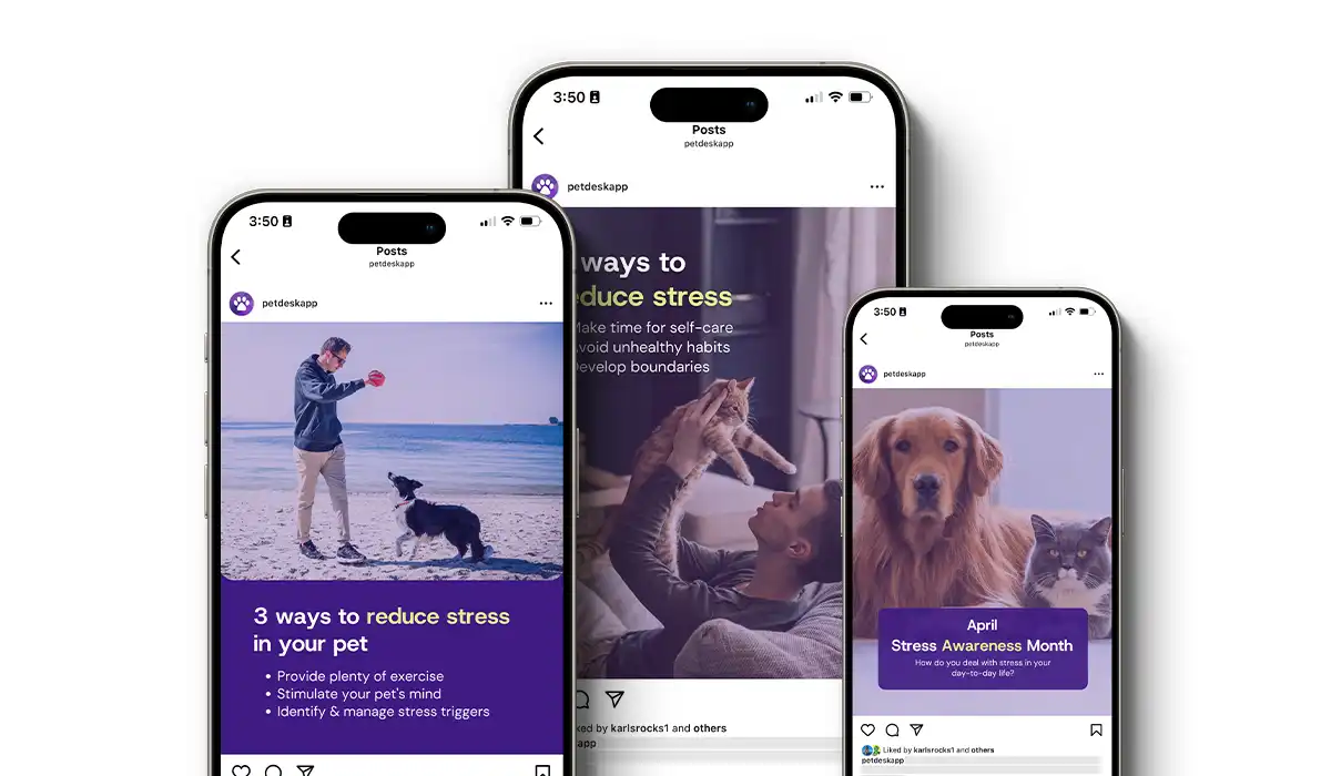 Stress Awareness Month Social Posts|A sneak peak at PetDesk's Stress Awareness Month social posts