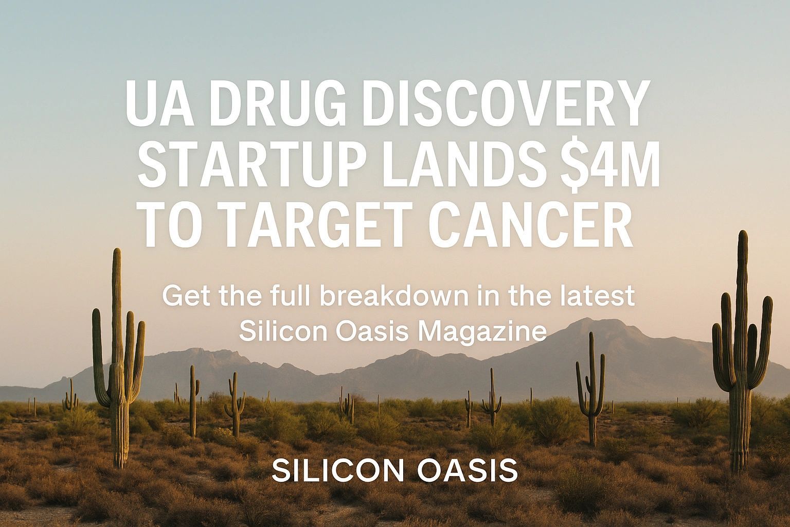 a black and white living room with a large tv