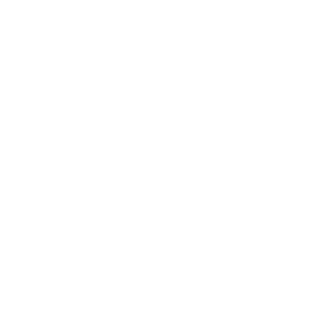 Cohere Command R Model