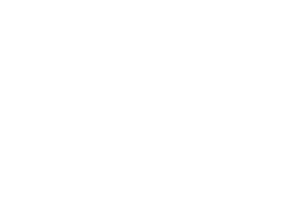 Logo Tucci Hero bianco