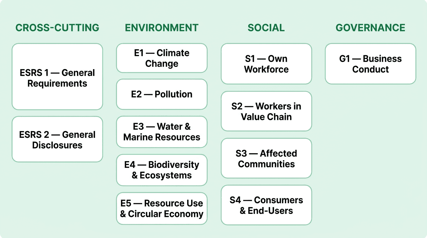 The 12 ESRS standards organized by category -- cross-cutting, environmental, social, and governance