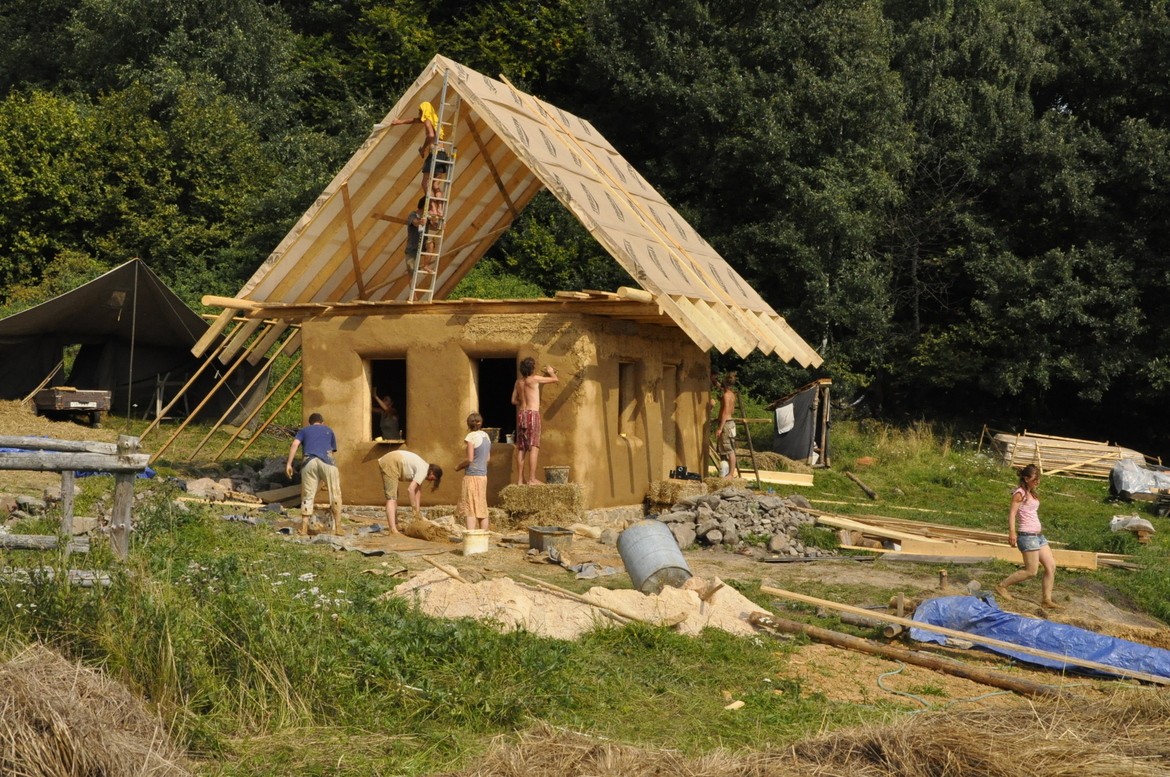 Close-up of lush, dark green leaves, some glossy and wet, against a muted background.