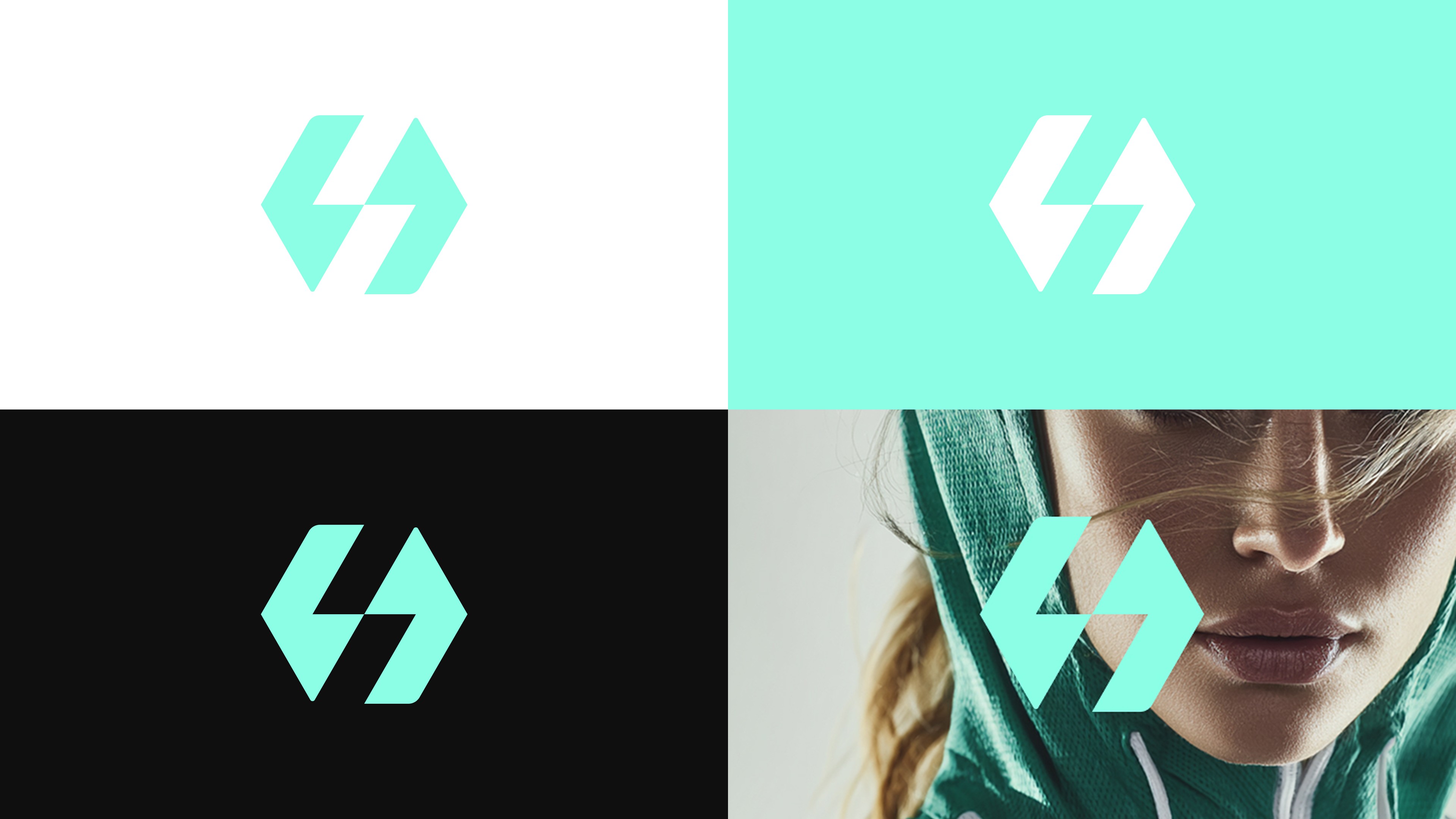 Meridian logo preview variations