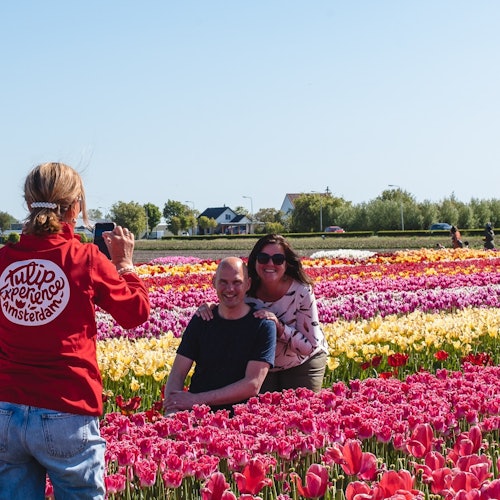 Tulip Experience Amsterdam