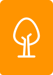 Protecting trees