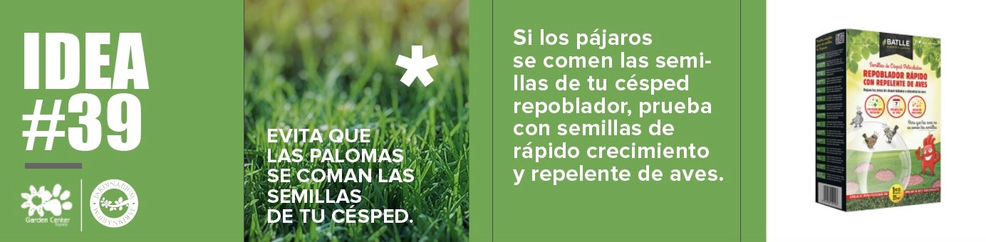 Métodos para proteger siembra de césped