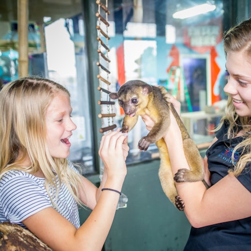 Due ragazze sorridono mentre una tiene in mano un piccolo animale e l'altra lo nutre all'interno di una stanza luminosa con varie decorazioni colorate.