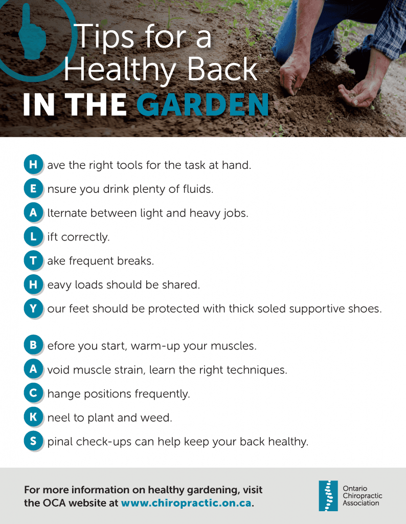 Tips for a Healthy Back while Gardening Ajax Chiropractors Ajax Massage Therapy